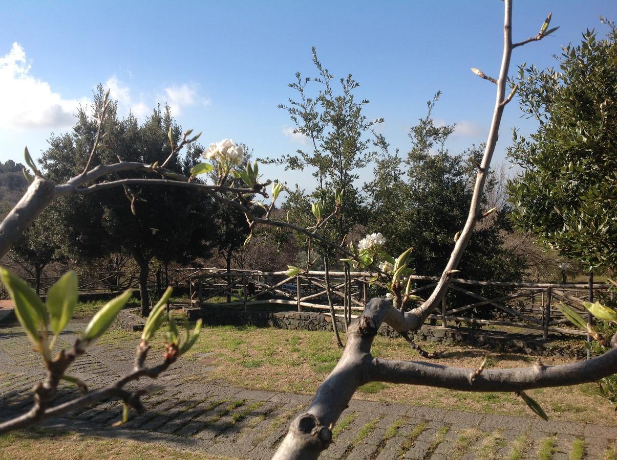 Le Cisterne Dell'Etna Hotel Calcerana-Marina ภายนอก รูปภาพ