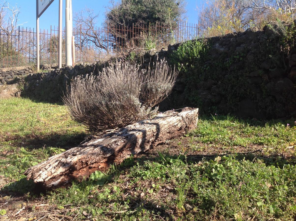 Le Cisterne Dell'Etna Hotel Calcerana-Marina ภายนอก รูปภาพ